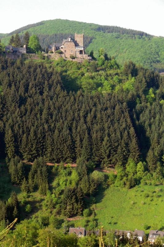 Panorama-Cafe Moselgarten Alf Zewnętrze zdjęcie