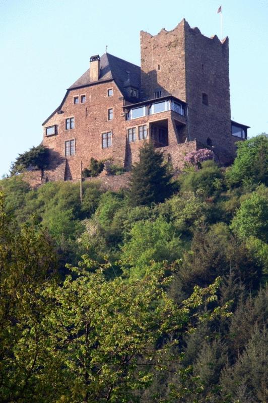 Panorama-Cafe Moselgarten Alf Zewnętrze zdjęcie